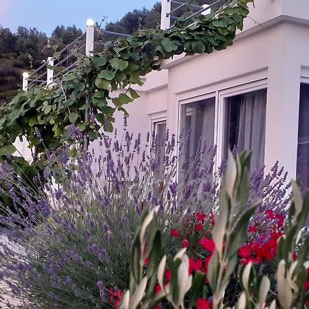 Vis - Luxury Holiday Villa With Swimming Pool Εξωτερικό φωτογραφία