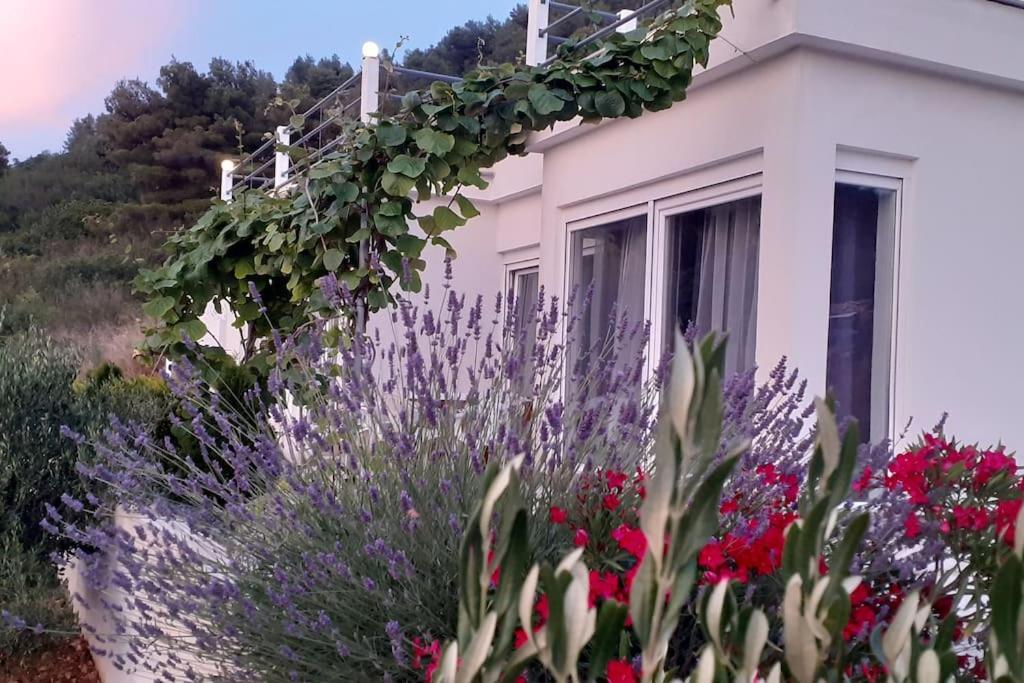 Vis - Luxury Holiday Villa With Swimming Pool Εξωτερικό φωτογραφία
